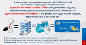 Единый налоговый платёж с 2023 года: как платить и отчитываться