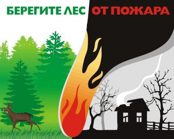 Окончание особого противопожарного режима