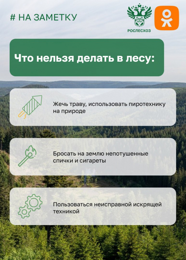 С 10 апреля в Тверской области начался пожароопасный период. Основная причина природных пожаров – человеческий фактор!