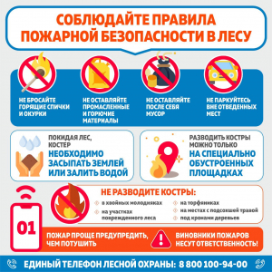 С 10 апреля в Тверской области начался пожароопасный период. Основная причина природных пожаров – человеческий фактор