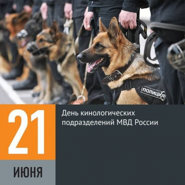 21 июня отмечается День кинологических подразделений МВД России.