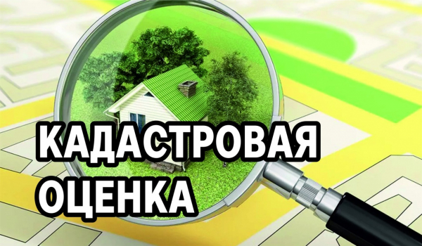 Извещение о размещении проекта отчета об итогах государственной кадастровой оценки в фонде данных государственной кадастровой оценки, а также о порядке и сроках представления замечаний к нему