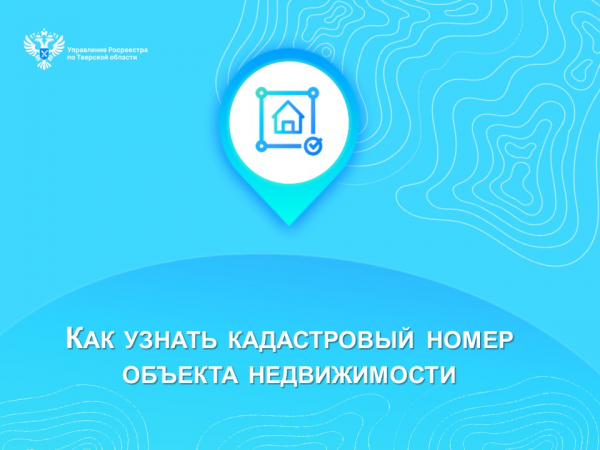 Как узнать кадастровый номер объекта недвижимости