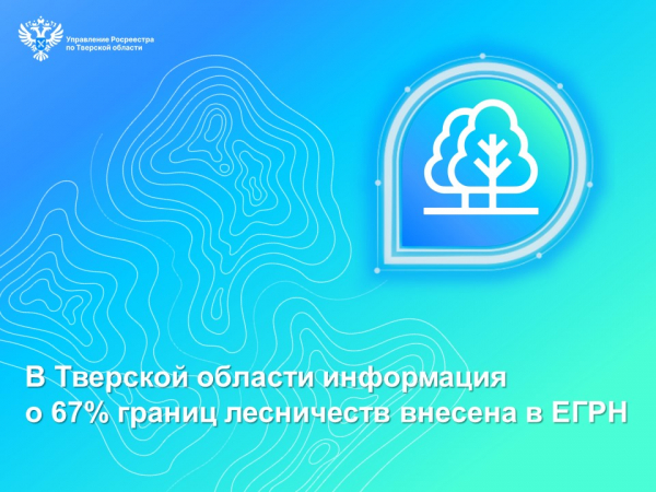 В Тверской области информация о 67% границ лесничеств внесена в ЕГРН