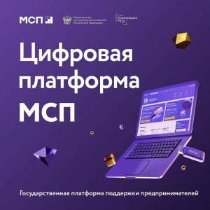Проведение отборов в рамках программы по развитию субъектов малого и среднего предпринимательства