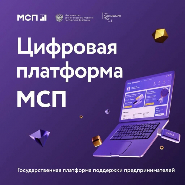 Проведение отборов в рамках программы по развитию субъектов малого и среднего предпринимательства
