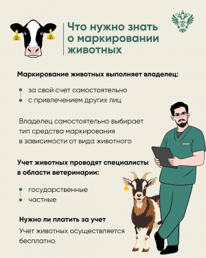Эпизоотическое благополучие хозяйства