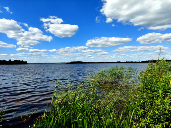 Меры безопасности при купании в открытых водоемах!