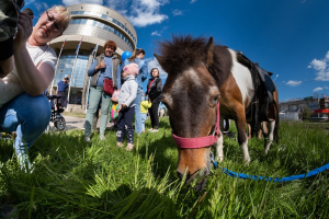 В Удомле ярко встретили лето