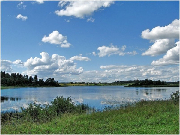 В Удомельском ГО утонул 30-летний мужчина