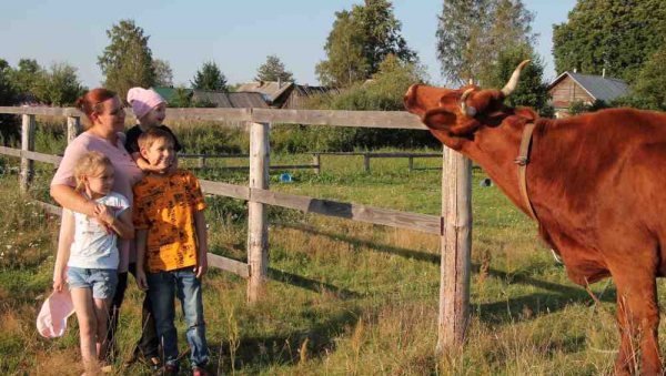 Конкурс для многодетных семей &quot;Лучшее семейное подворье&quot; продолжается