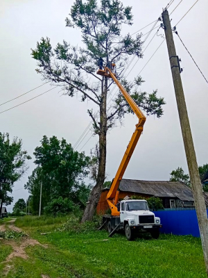 На сельских территориях ведутся работы по спиливанию аварийных деревьев
