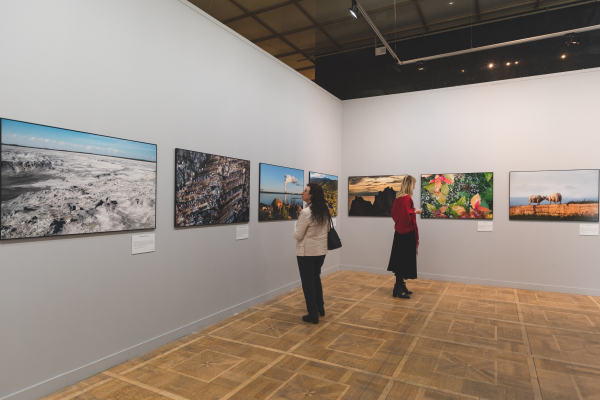 Работы воспитанников проекта Фонда «АТР АЭС» «В объятиях природы» вошли в экспозицию юбилейного фестиваля природы «Первозданная Россия»