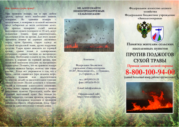 Памятка о правилах поведения граждан в лесах в рамках профилактики противопожарных мероприятий