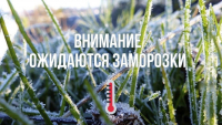 Госавтоинспекция предупреждает: первые заморозки требуют повышенной бдительности на дорогах