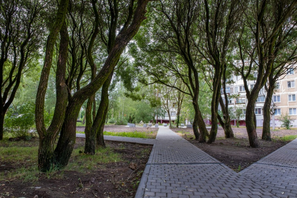 Дворы для души