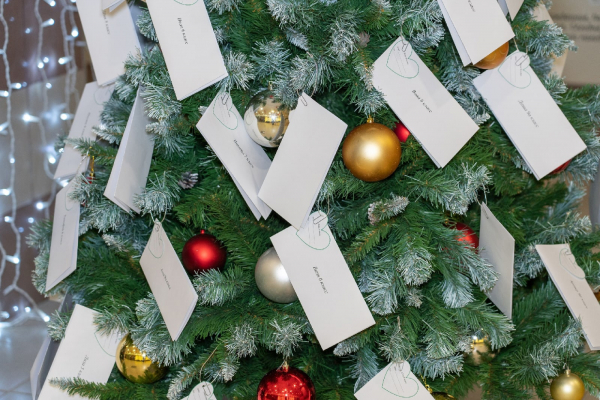 В Удомле стартовала благотворительная акция «Елка желаний»