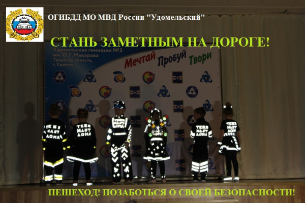 Сотрудники Удомельской Госавтоинспекции  призывает всех пешеходов использовать световозвращатели