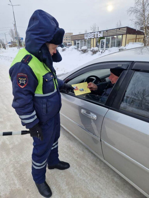 Сотрудники Госавтоинспекции провели профилактический рейд «Детское кресло»