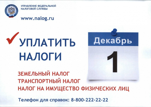 Тверским налогоплательщикам направлено 178 тысяч налоговых уведомлений в электронном виде