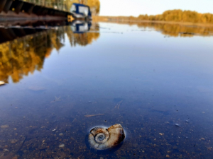 Подведены итоги V международного конкурса «В объятиях природы»