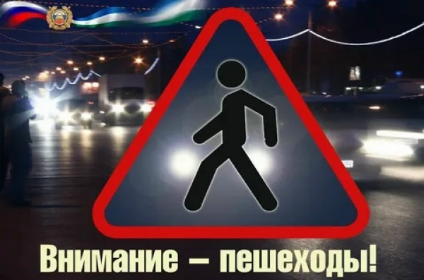 Профилактическое мероприятие &laquo;Пешеход&raquo;, &laquo;Пешеходный переход&raquo;