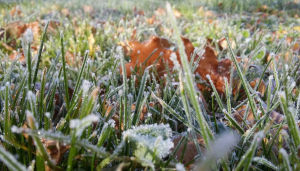 По сообщению Тверского центра по гидрометеорологии и мониторингу окружающей среды: