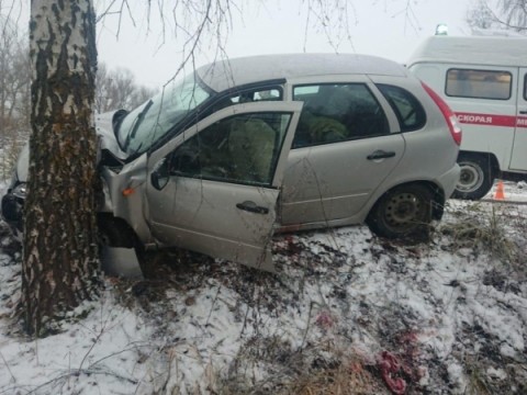 В Удомле в ДТП пострадали люди