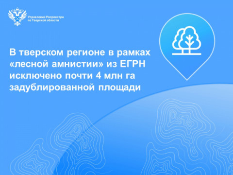 В тверском регионе в рамках &laquo;лесной амнистии&raquo; из ЕГРН исключено почти 4 млн га задублированной площади