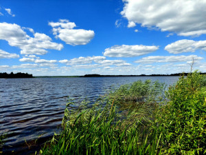 Меры безопасности при купании в открытых водоемах!
