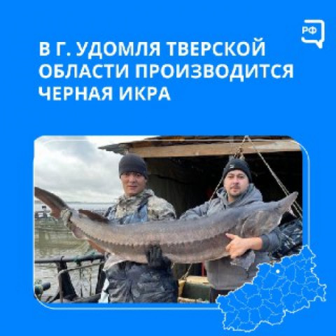 В Удомле производят черную икру