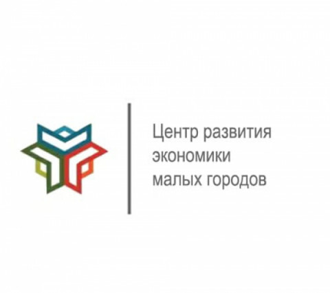 Центр развития экономики малых городов в 2021 году запускает программу по сопровождению местных НКО на грантовых конкурсах