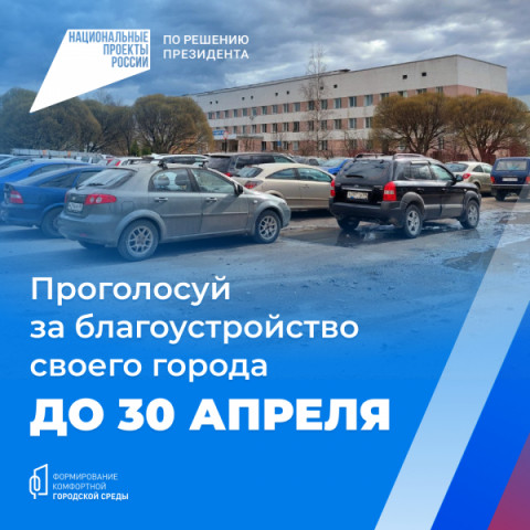 За какую территорию для благоустройства удомельцы отдали больше всего голосов?