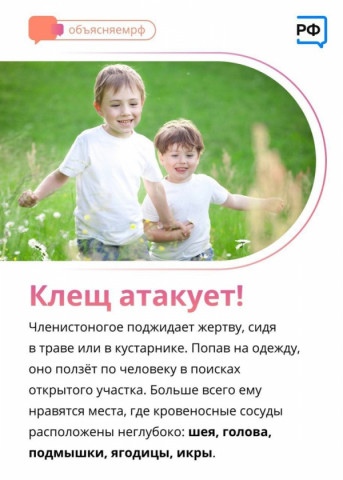 Осторожно, клещи!