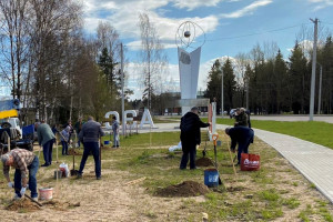 Около стелы строителям Калининской АЭС появилась каштановая аллея