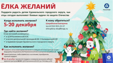 Новогодняя акция &laquo;Ёлка желаний&raquo; началась