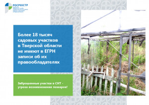 Более 18 тысяч садовых участков в Тверской области не имеют в ЕГРН записи об их правообладателях