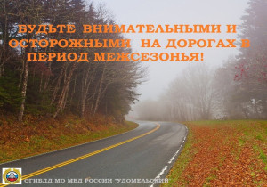 Сотрудники Удомельской Госавтоинспекции призывают всех участников дорожного движения быть предельно внимательными и осторожными в межсезонье.