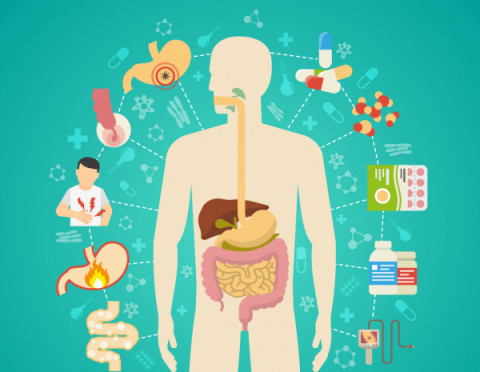 Неделя профилактики заболеваний ЖКТ