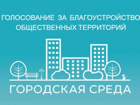Предварительное голосование по выбору общественной территории для благоустройства в первую очередь в 2021 году