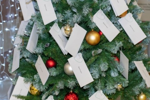 В Удомле стартовала благотворительная акция &laquo;Елка желаний&raquo;