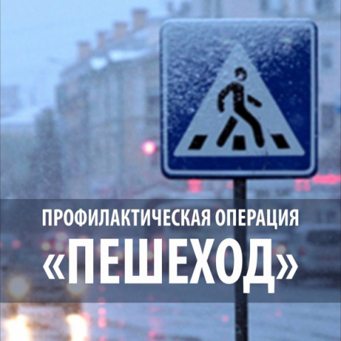 Сотрудники Госавтоинспекции проведут  в Удомельском городском округе профилактическое мероприятие &laquo;Пешеход&raquo;.