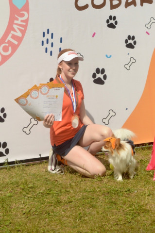 Первый городской фестиваль собак &laquo;Любви достоин каждый хвостик&raquo;