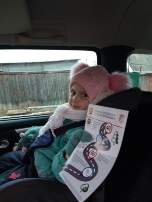 Сотрудники удомельской Госавтоинспекции провели профилактический рейд &laquo;Детское кресло&raquo;.