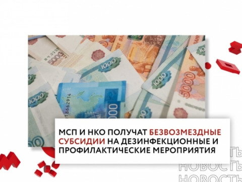 Правительство утвердило правила выдачи безвозмездных субсидий МСП и НКО на профилактику COVID-19