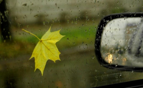 Госавтоинспекция призывает водителей и пешеходов к внимательности на дорогах