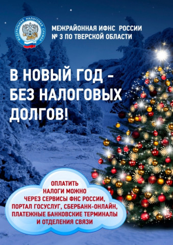 &laquo;В Новый год &ndash; без налоговых долгов!&raquo;