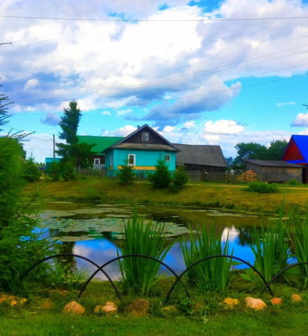 Цветы, клумбы и разнообразные цветники &ndash; неотъемлемая часть оформления нашего округа