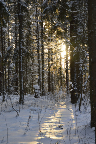 Подведены итоги конкурсного отбора международного проекта &laquo;Территория успеха: в объятиях природы&raquo; 2024 года