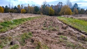 Организация первичных мер пожарной безопасности округа